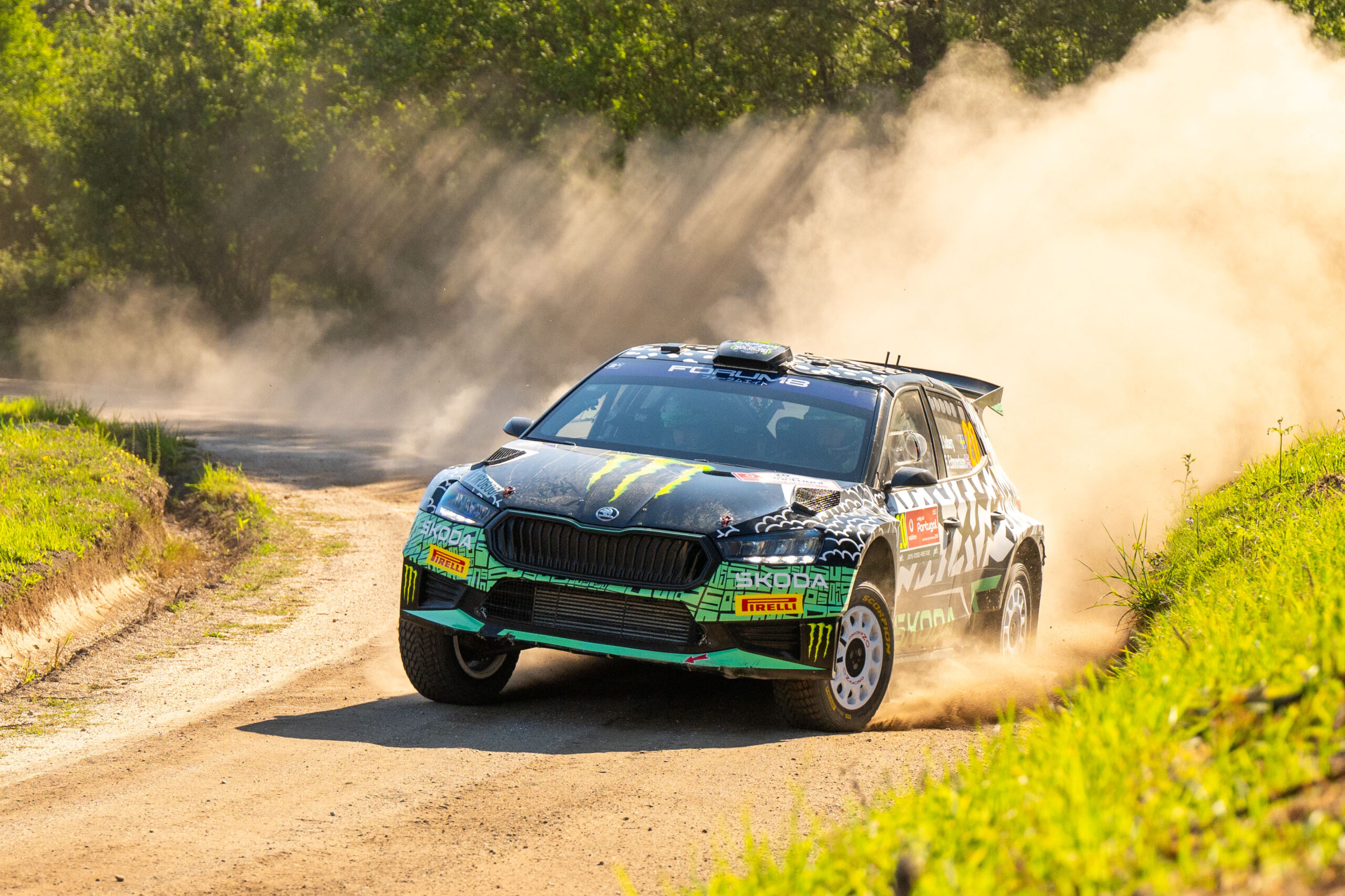 Rally